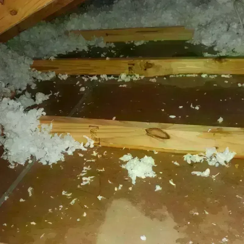 Attic Water Damage in Florence-Graham, CA