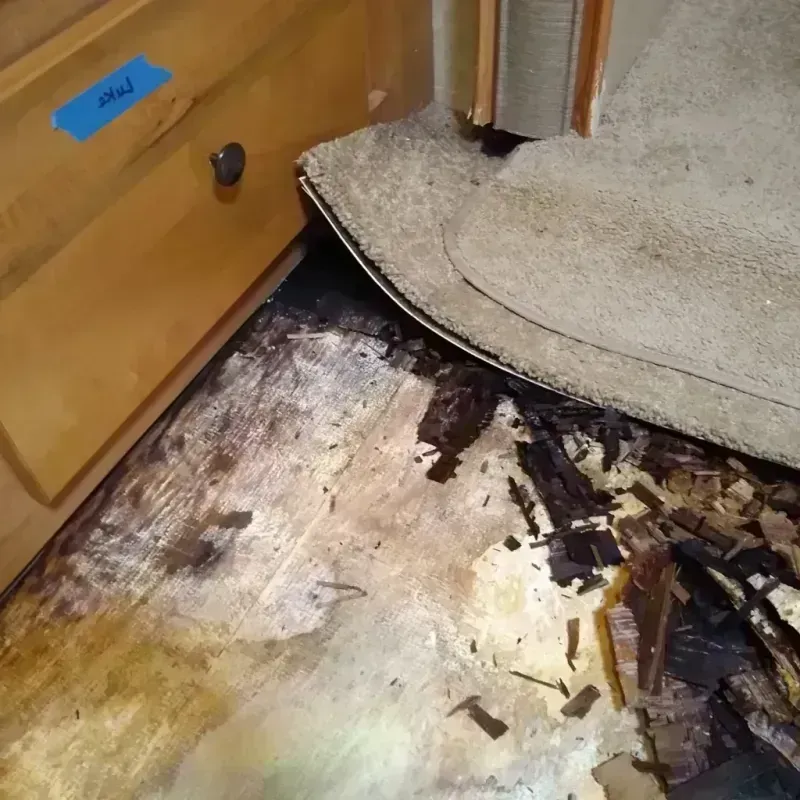 Wood Floor Water Damage in Florence-Graham, CA